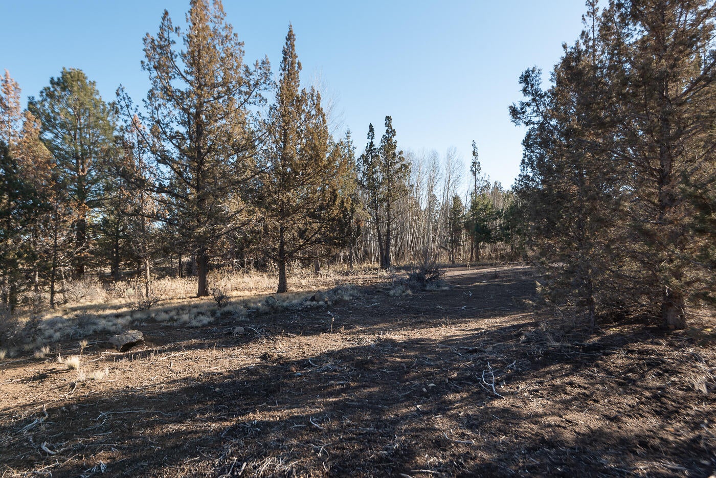 18955 Pinehurst Road Bend, OR 97703 - Photo 38 of 39 Pinehurst_Chris-3