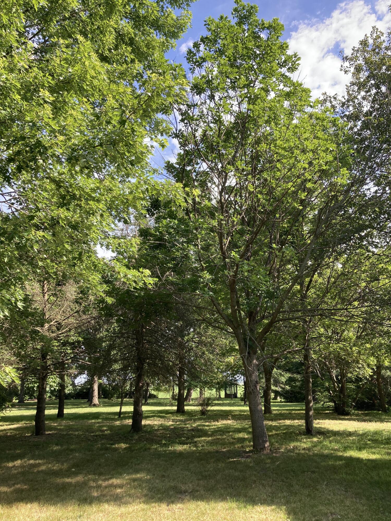 1530 West Clark Street Rensselaer, IN 47978 - Photo 7 of 40 1500x2000