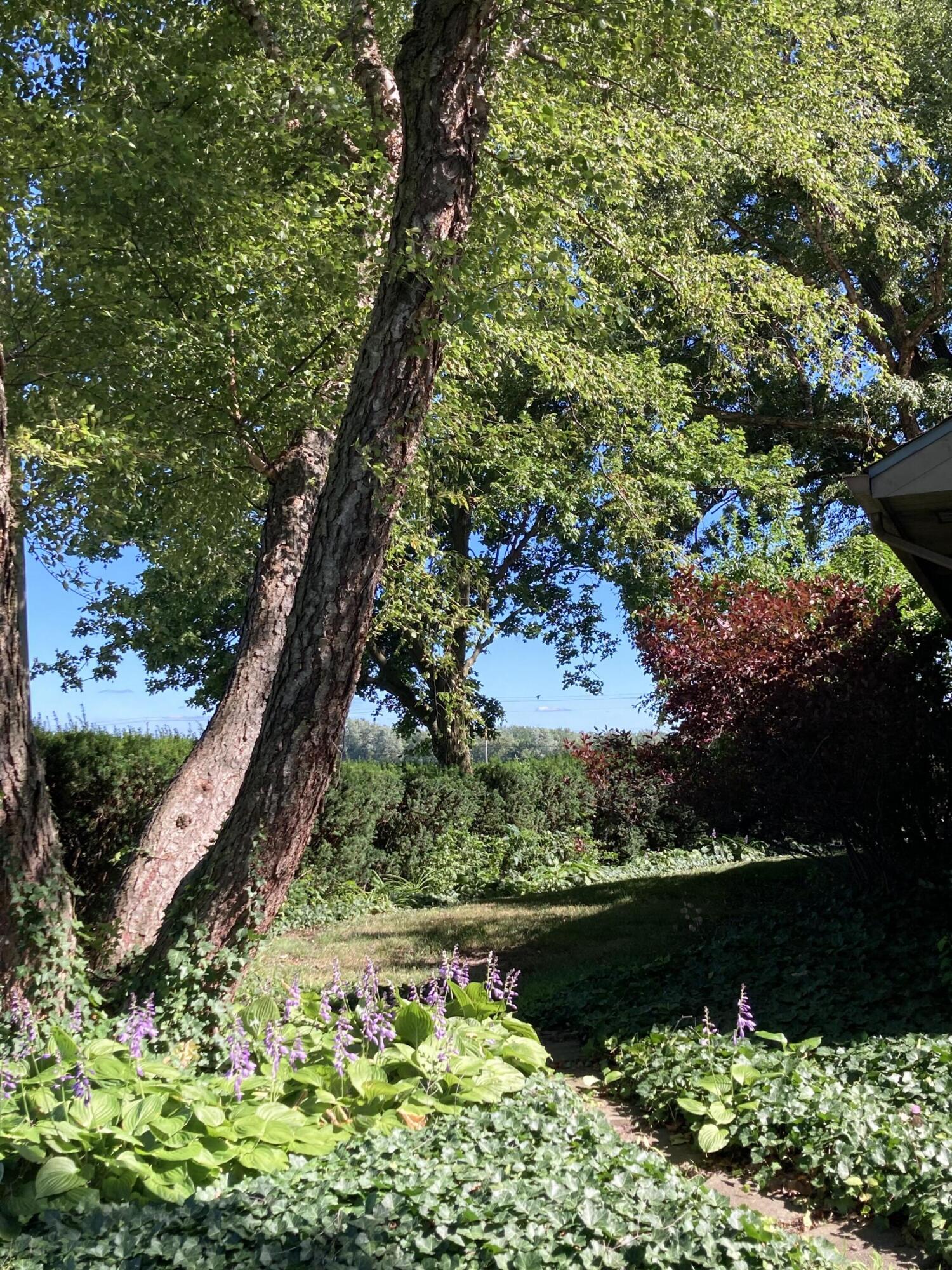 1530 West Clark Street Rensselaer, IN 47978 - Photo 9 of 40 1500x2000