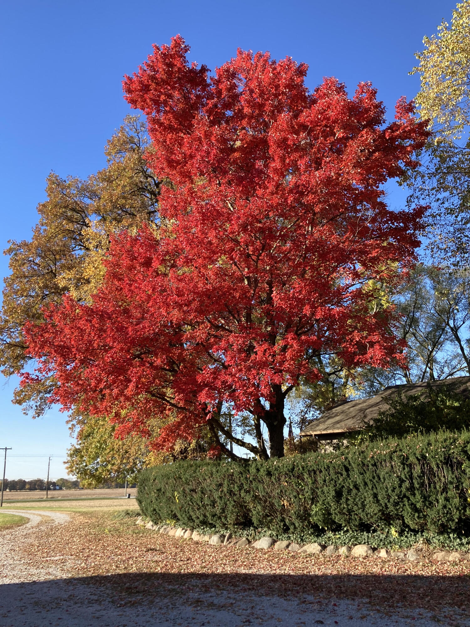 1530 West Clark Street Rensselaer, IN 47978 - Photo 10 of 40 1500x2000