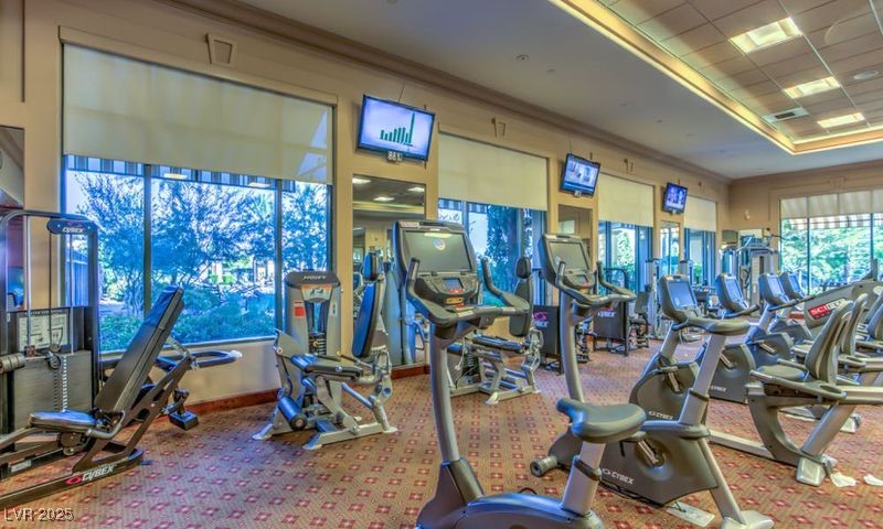 5015 Rivedro Street Las Vegas, NV 89135 - Photo 45 of 63 "The Fitness Center is equipped with a wide variety of state-of-the-art fitness equipment, offering endless options to support your workout routine and fitness goals."
