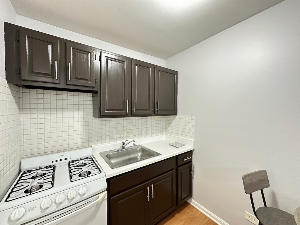 4616 North Beacon Street, Unit 3H Chicago, IL 60640 - Photo 3 of 20