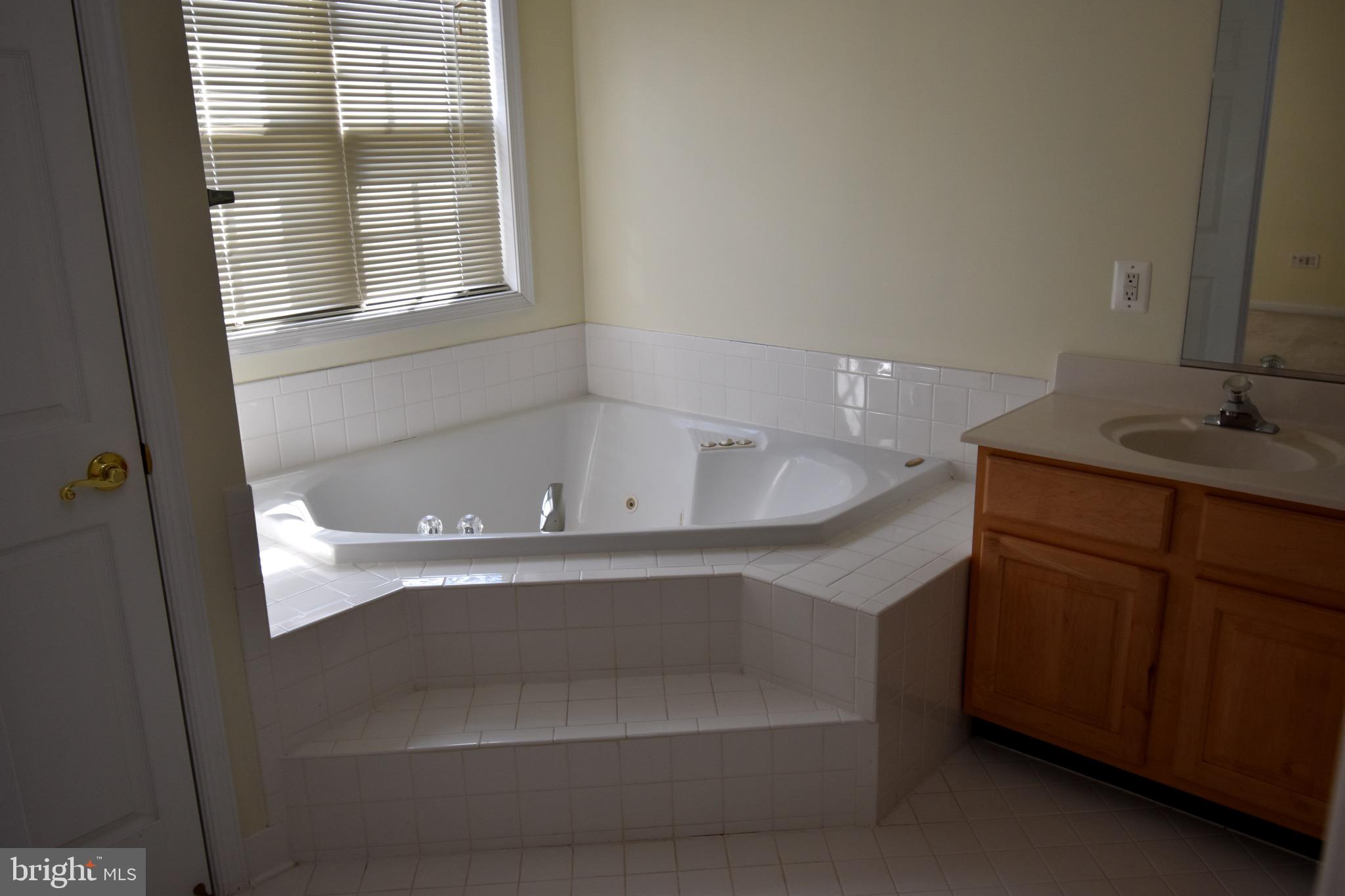 13571 Cedar Run Lane Herndon, VA 20171 - Photo 22 of 33 a bathroom with a bathtub and a sink