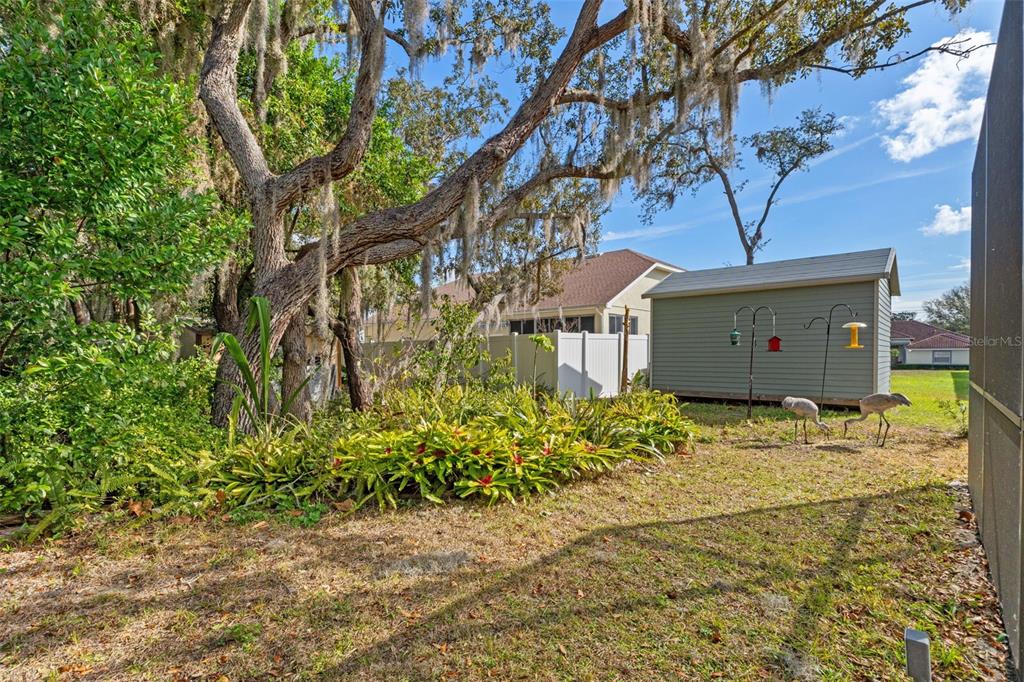 206 Rusk Circle Spring Hill, FL 34606 - Photo 47 of 54