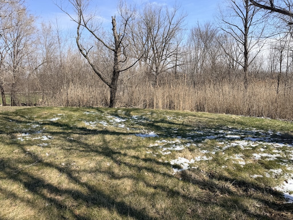 22503 State Street Steger, IL 60475 - Photo 20 of 20 a view of a backyard of the house