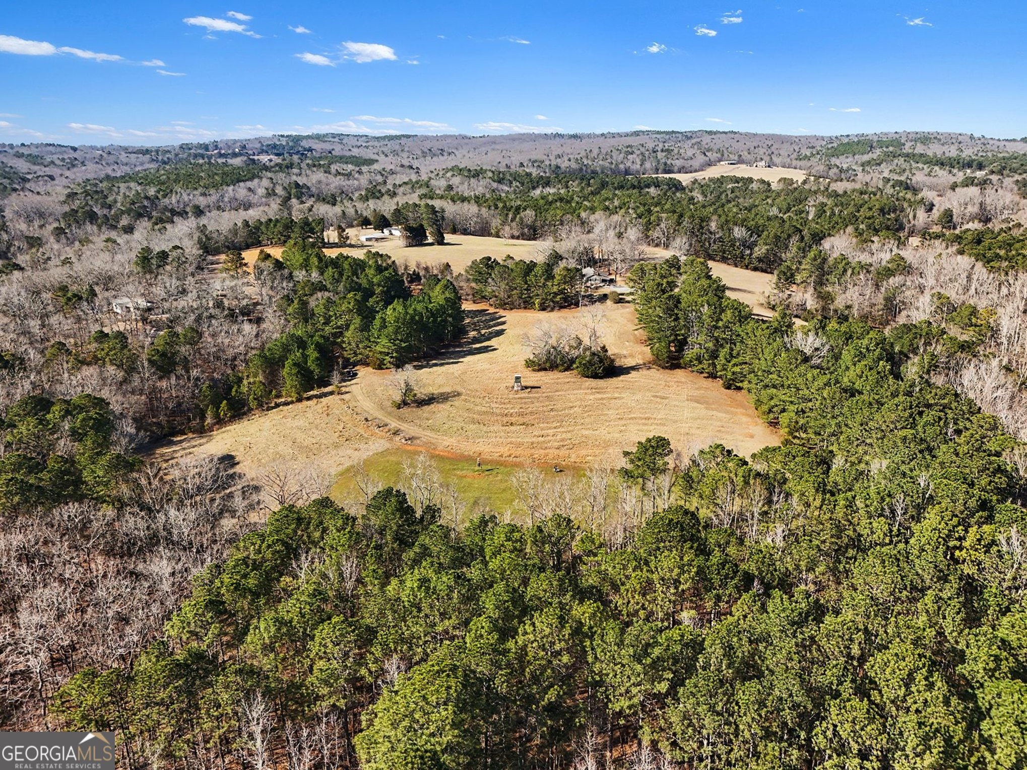 0 Vineyard Road Thomaston, GA 30286 - Photo 4 of 40