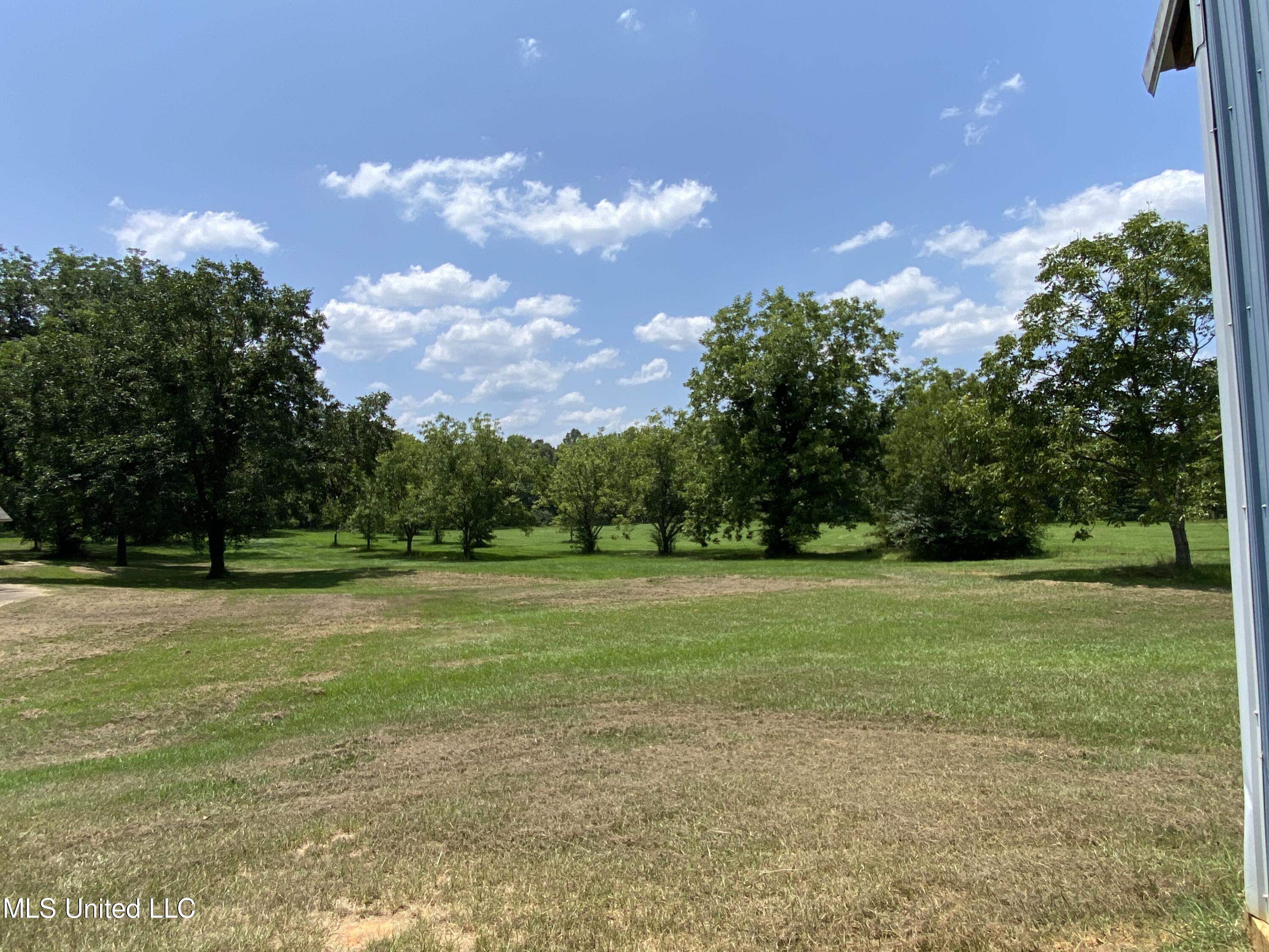 622 Concord Road Pelahatchie, MS 39145 - Photo 48 of 50 622 Concord land w cut grass 1