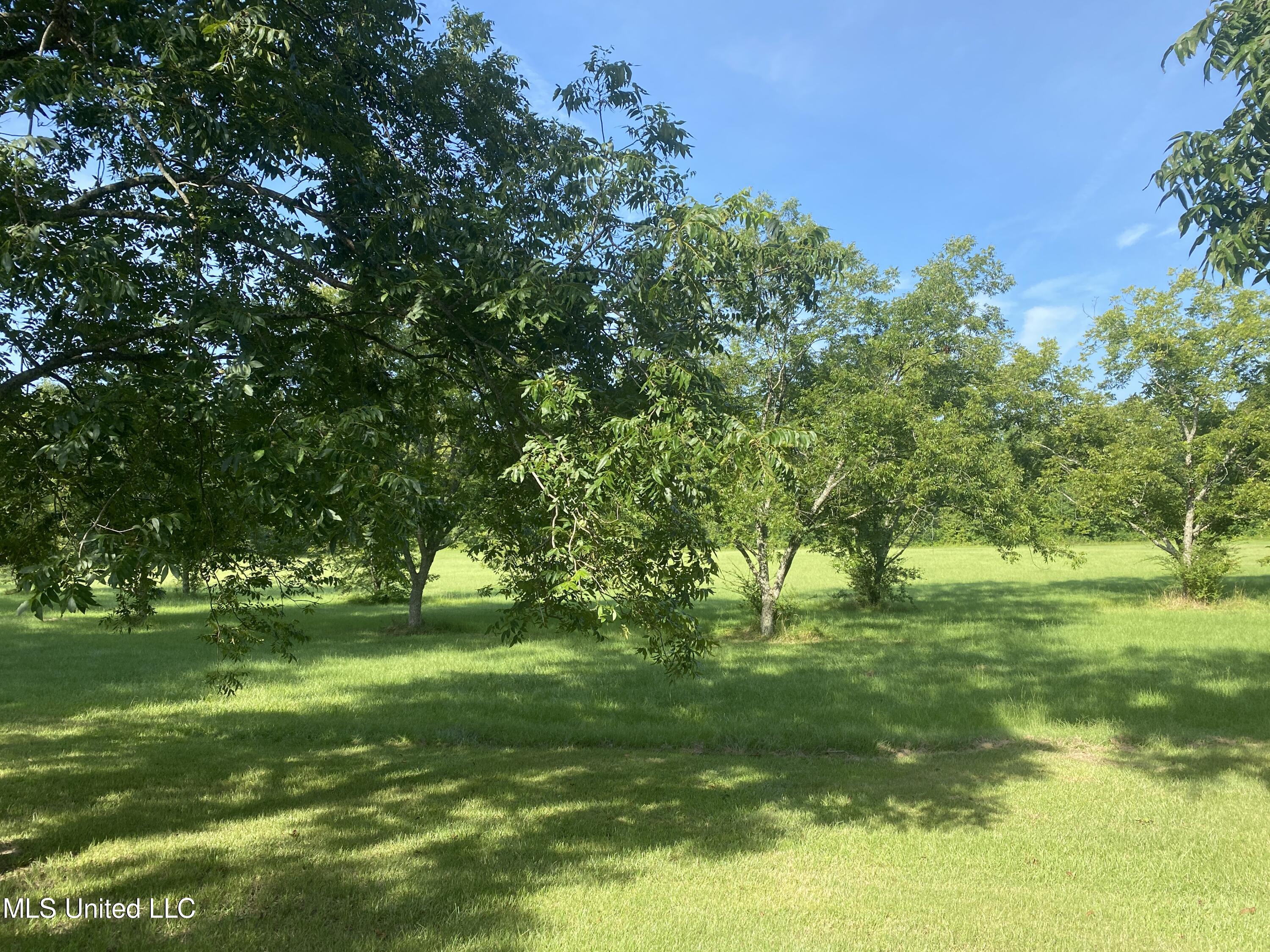 622 Concord Road Pelahatchie, MS 39145 - Photo 50 of 50 622 Concord by 2JPG