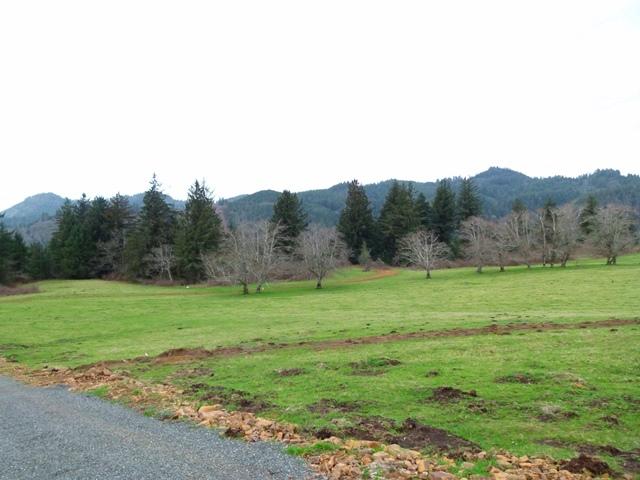 Tl#1009 Bel Air Road Cloverdale, OR 97112 - Photo 3 of 20 P1080391