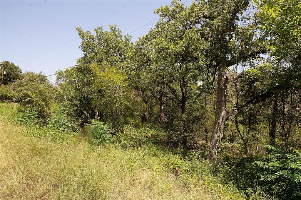 Tbd Post Oak Rim Drive Bastrop, TX 78602 - Photo 11 of 15 a view of a big yard with large trees