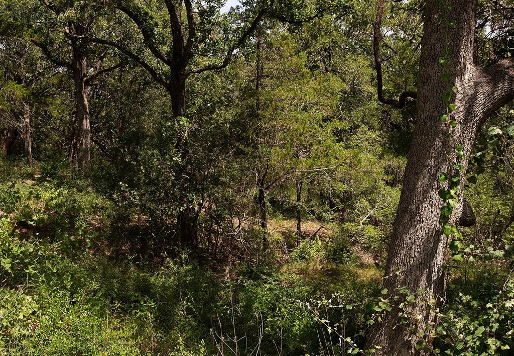 Tbd Post Oak Rim Drive Bastrop, TX 78602 - Photo 13 of 15 a view of a tree