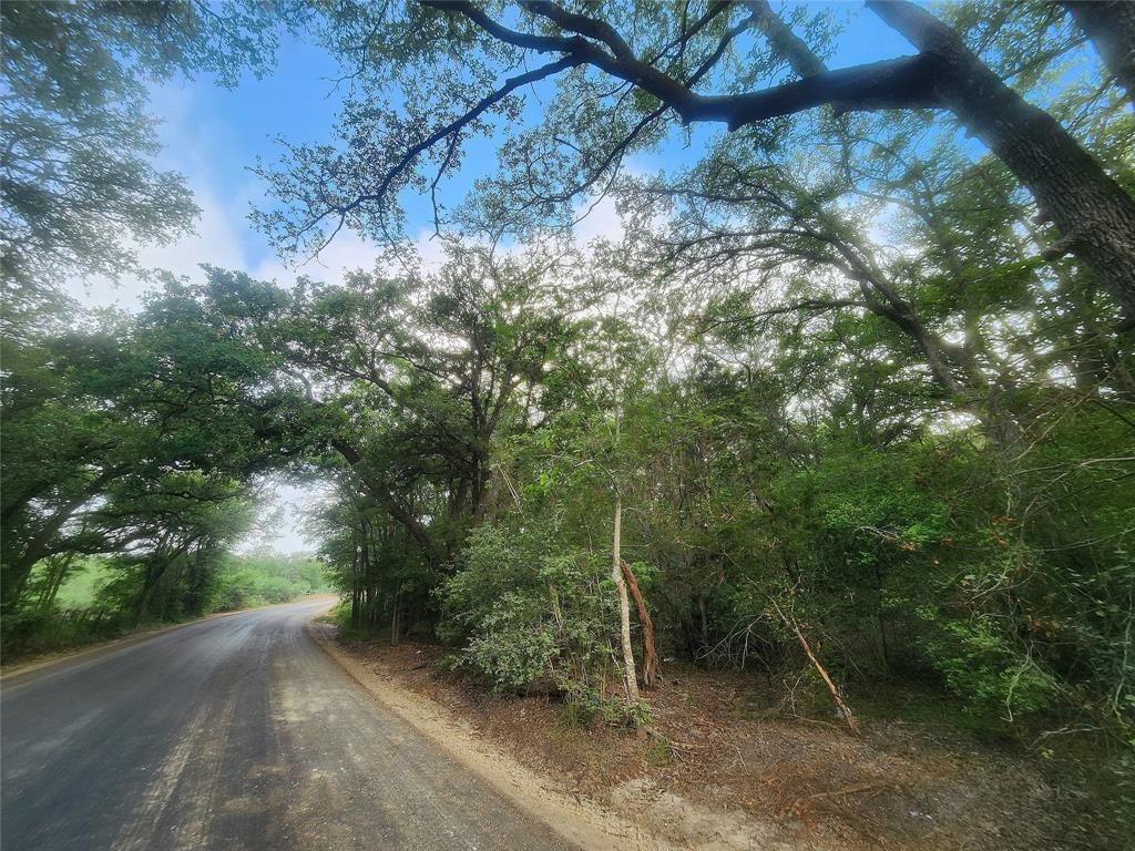 Tbd Post Oak Rim Drive Bastrop, TX 78602 - Photo 6 of 15 a view of a yard with potted plants and large trees