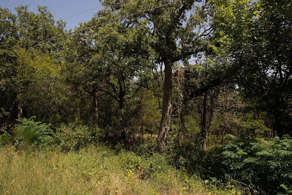 Tbd Post Oak Rim Drive Bastrop, TX 78602 - Photo 7 of 15 a view of a yard with a tree
