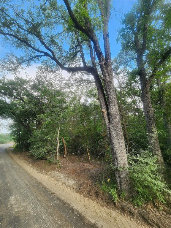 Tbd Post Oak Rim Drive Bastrop, TX 78602 - Photo 8 of 15 a backyard of a house with lots of green space