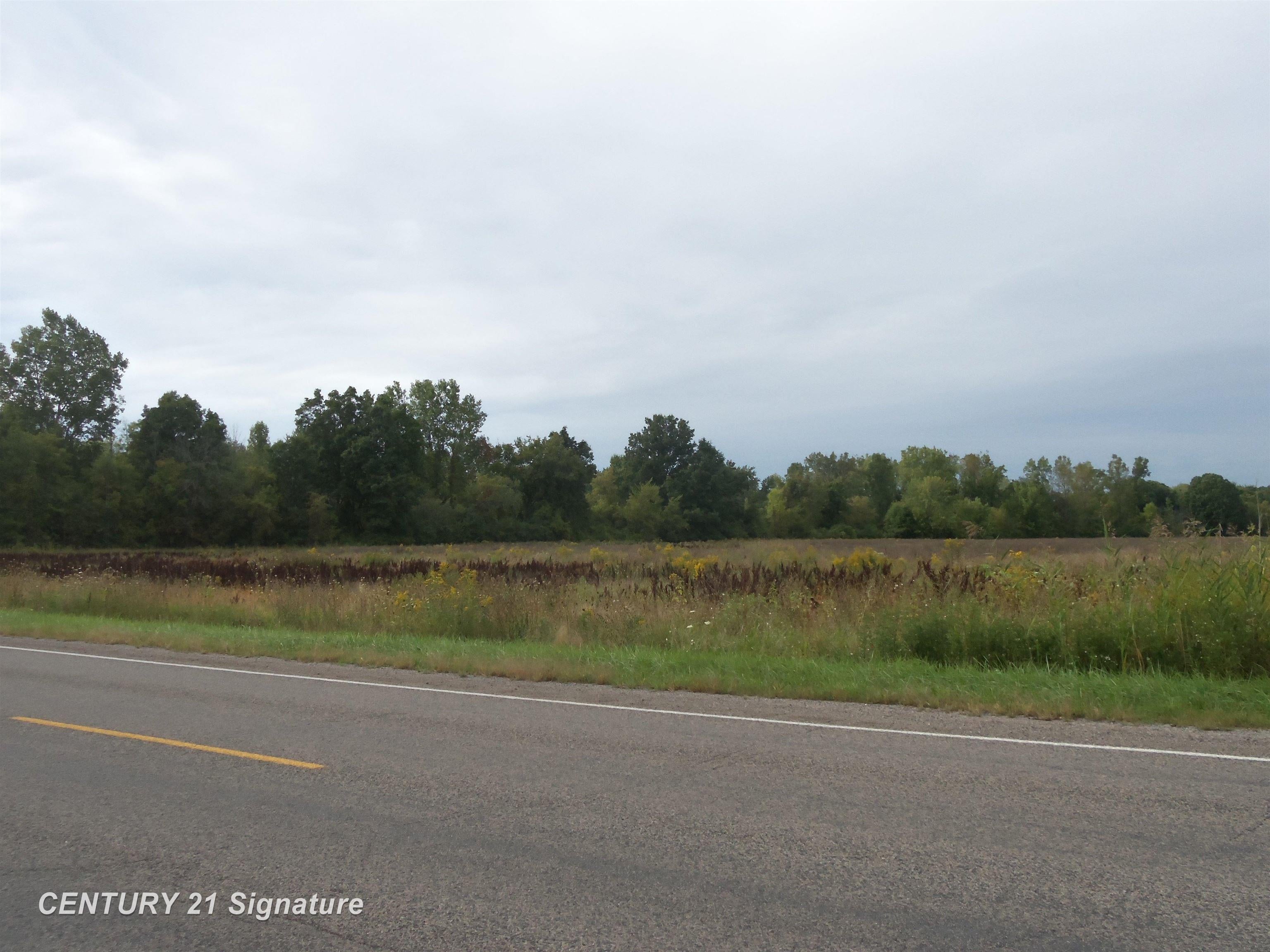 V/l West Coldwater Road Flushing, MI 48433 - Photo 1 of 9 Gallery Image 1