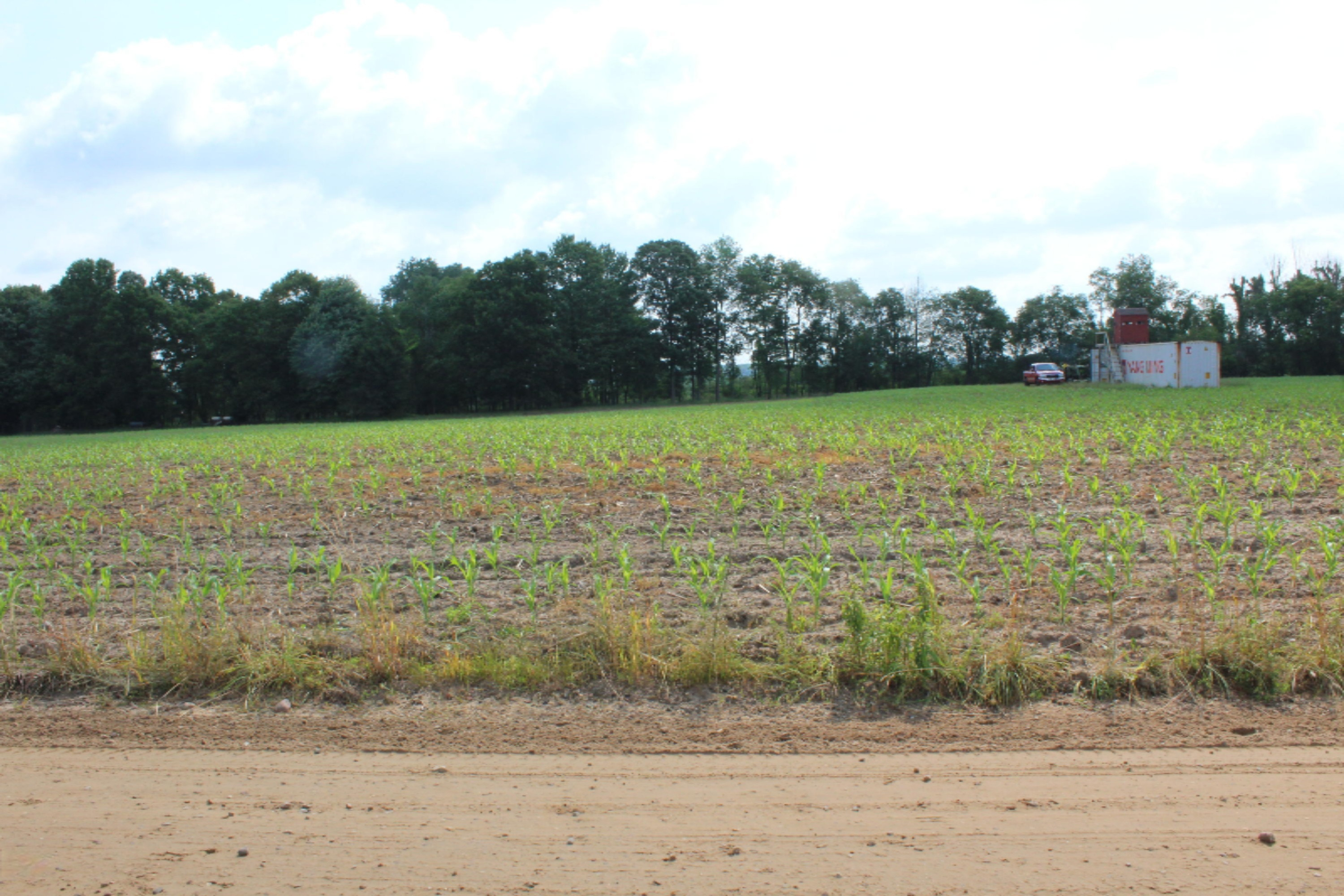 0 South Ferris Road Sidney, MI 48885 - Photo 2 of 5 Approx 7 1/2 Tillable Acres