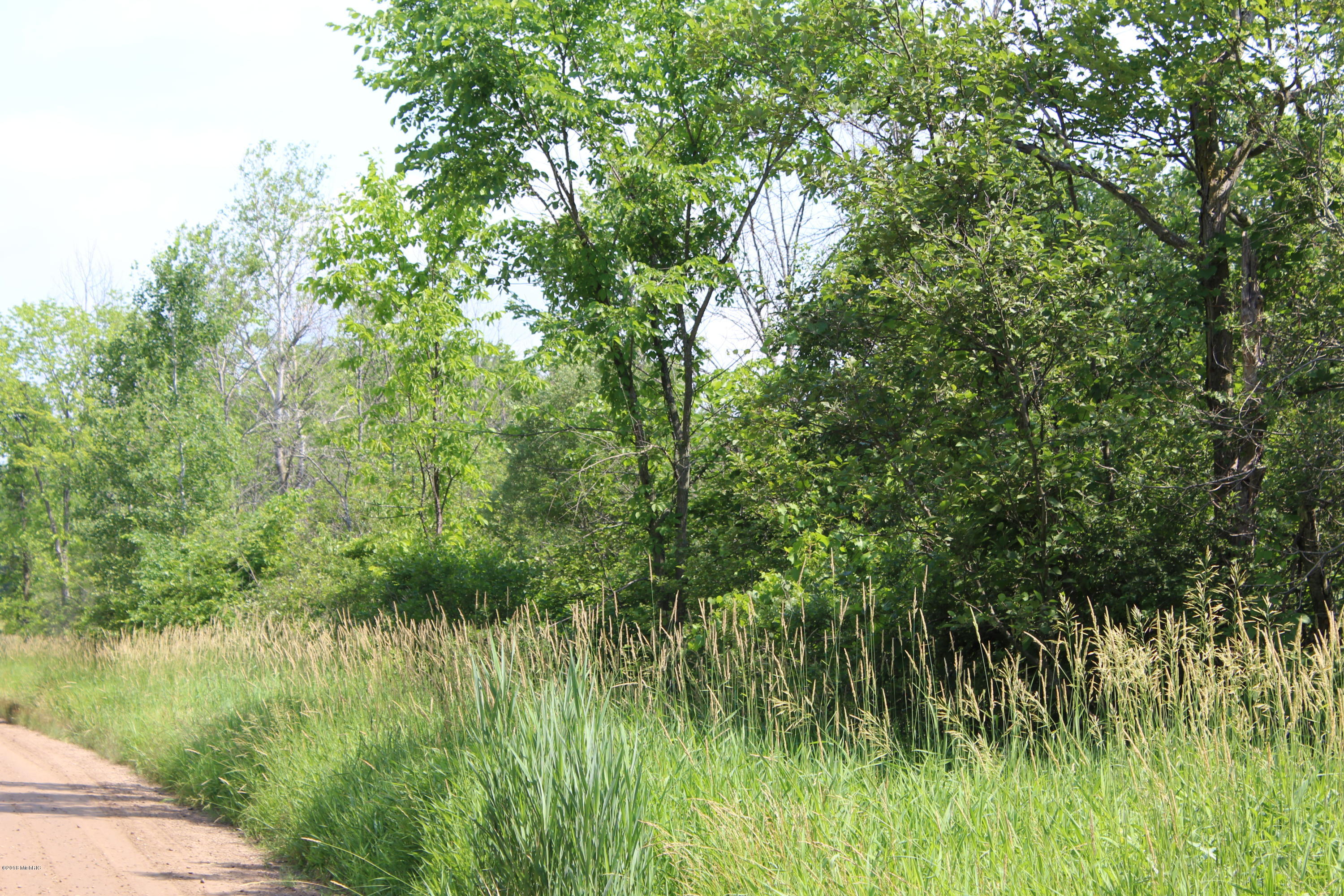 0 South Ferris Road Sidney, MI 48885 - Photo 5 of 5 IMG_1644
