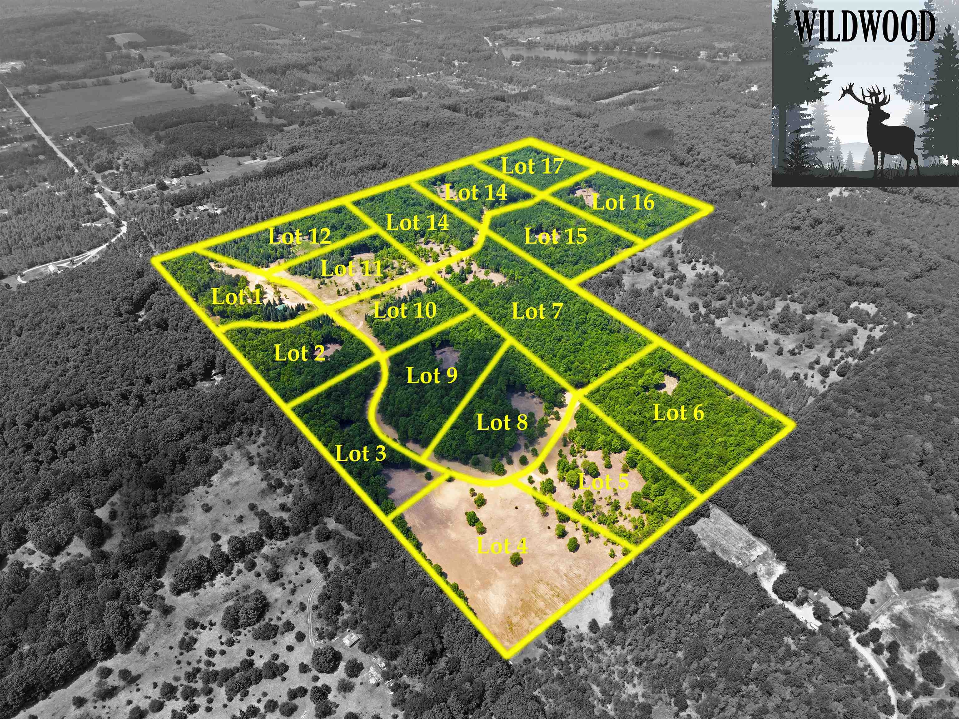 10601 Southwest Pine Ridge Drive Fife Lake, MI 49633 - Photo 1 of 27 1947537-7A12C47A-7CEB-4608-BB2B-5DA834A4560C.JPG