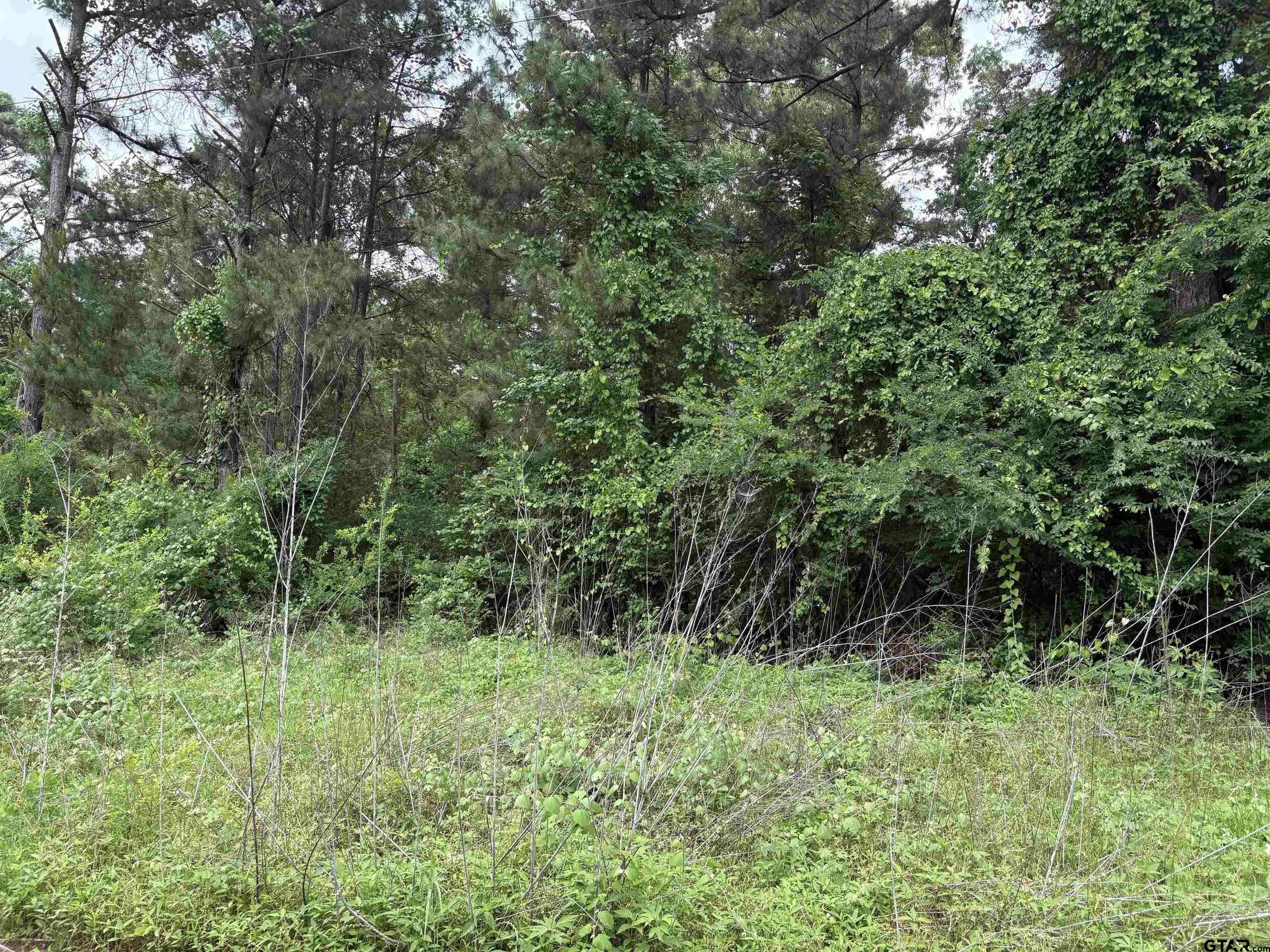 404 Post Oak Drive Bullard, TX 75757 - Photo 1 of 5 a view of a lush green forest