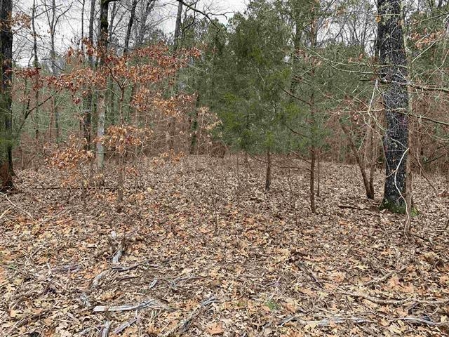 Bullman Road Finger, TN 38334 - Photo 3 of 13 a view of a yard with plants and trees