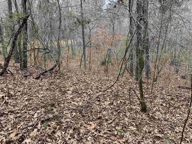 Bullman Road Finger, TN 38334 - Photo 5 of 13 a view of a yard