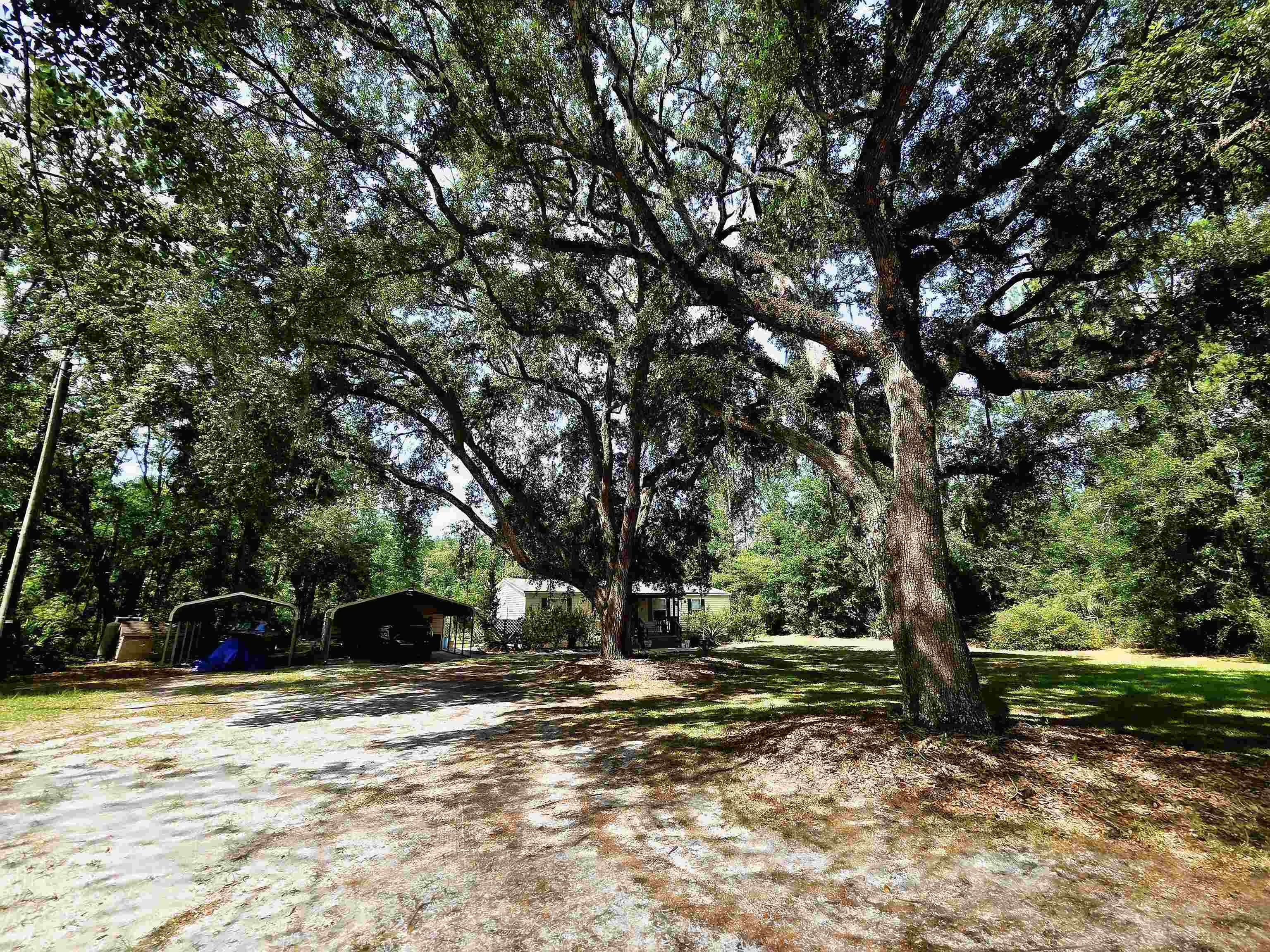 3445 Arrowhead Lane Perry, FL 32347 - Photo 5 of 48