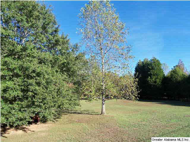 6841 Chesser Road Bessemer, AL 35023 - Photo 10 of 26