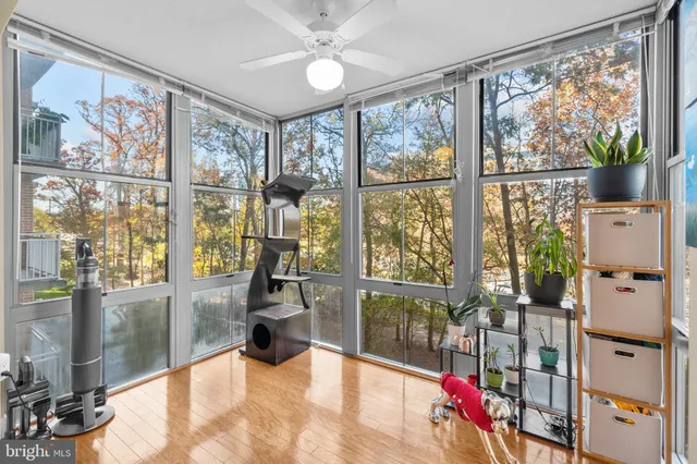 a view of a floor to ceiling window with a view of living room