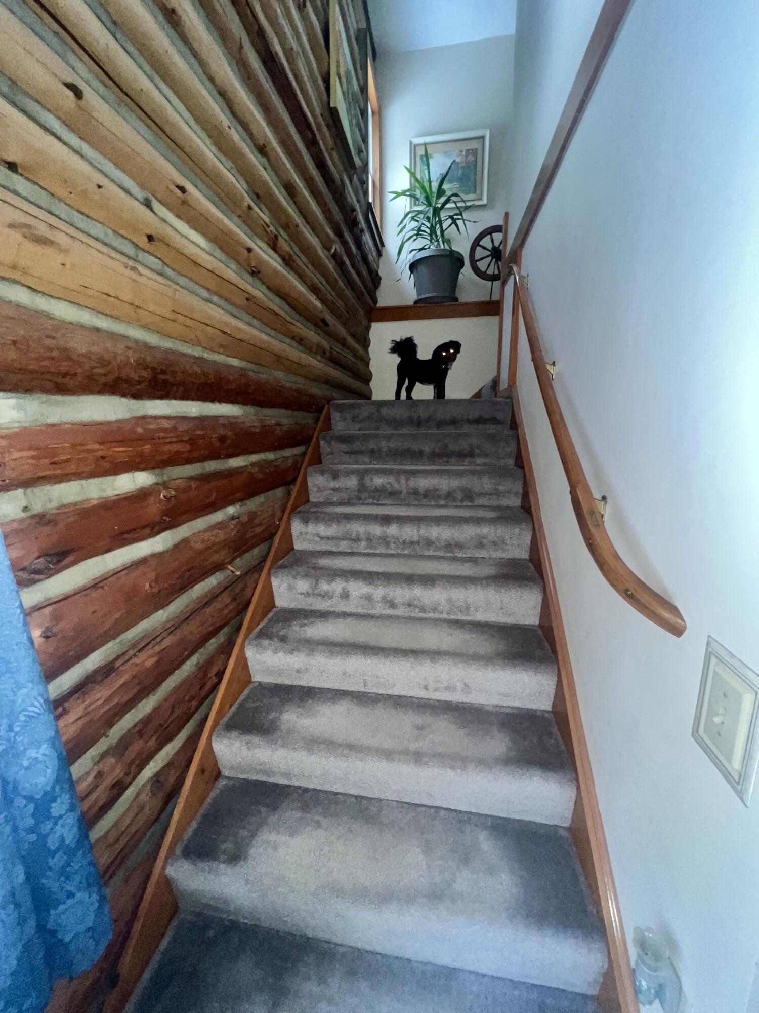 16 Cameron Road Andover, ME 04216 - Photo 25 of 49 Classic Woodwook Throughout