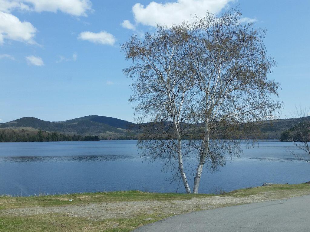 16 Cameron Road Andover, ME 04216 - Photo 10 of 49 Walk to Fishing Location