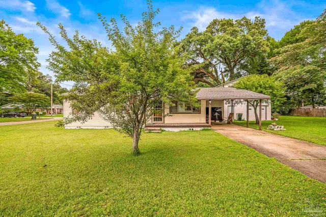 a view of a backyard with large trees