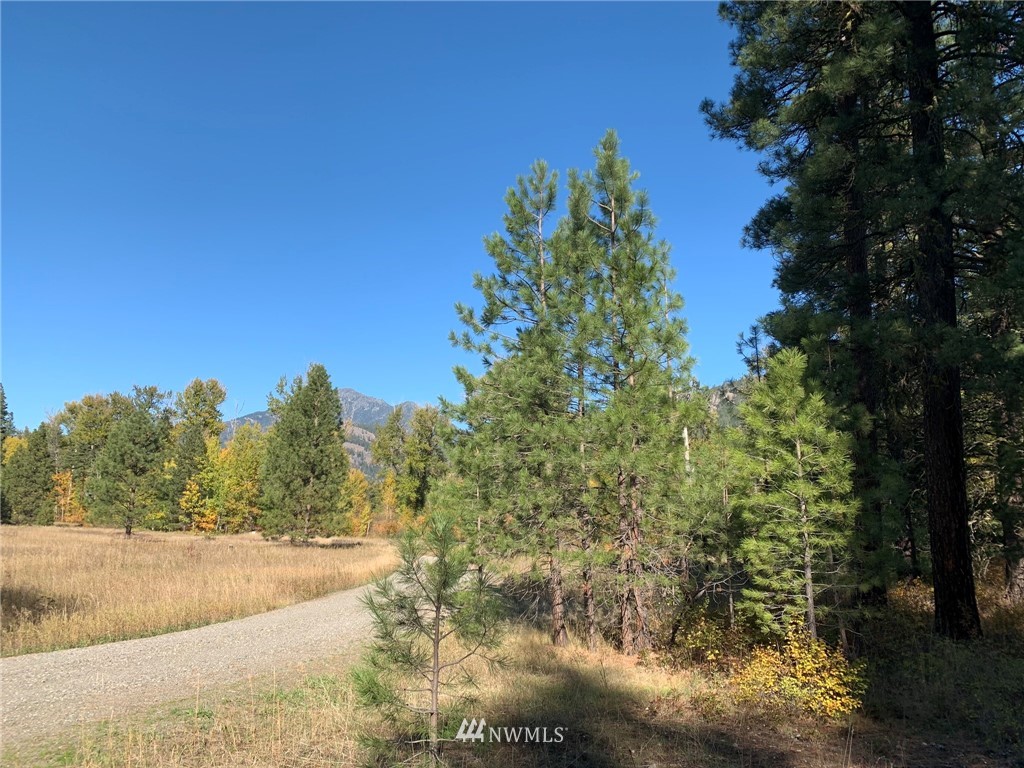 18255 State Rte 20 Winthrop, WA 98862 - Photo 14 of 25 Gallery Image 14