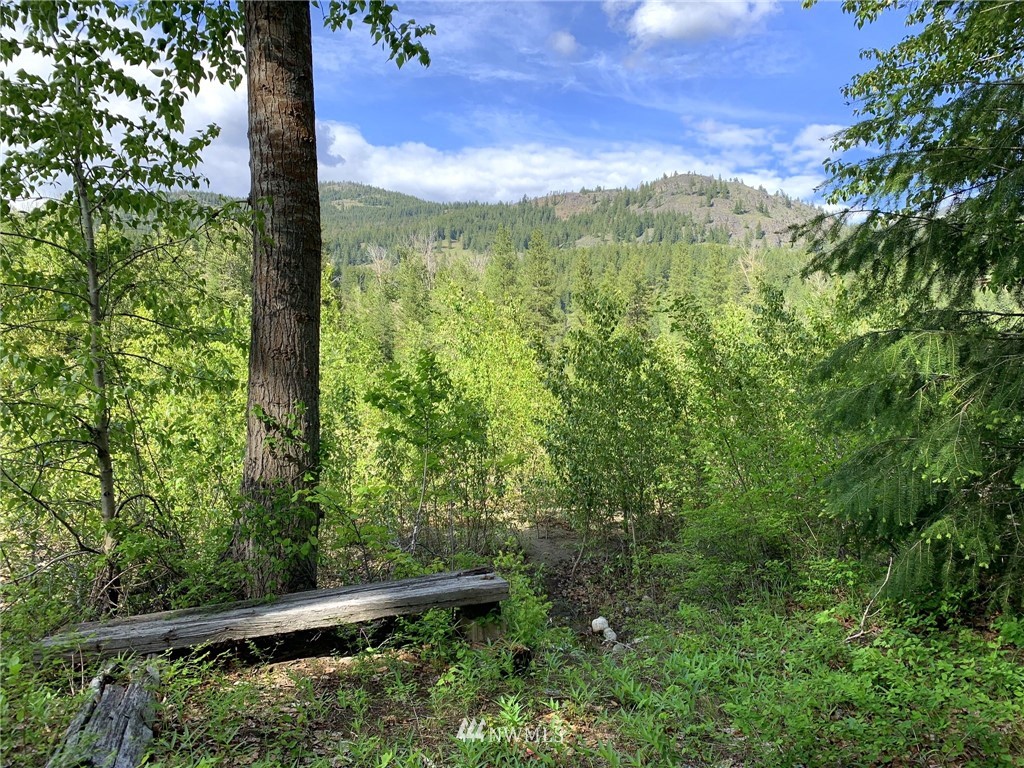 18255 State Rte 20 Winthrop, WA 98862 - Photo 22 of 25 Gallery Image 22