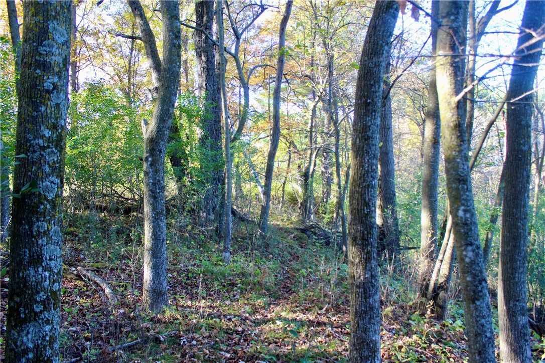 0 South Lowes Creek Road Eau Claire, WI 54701 - Photo 51 of 59