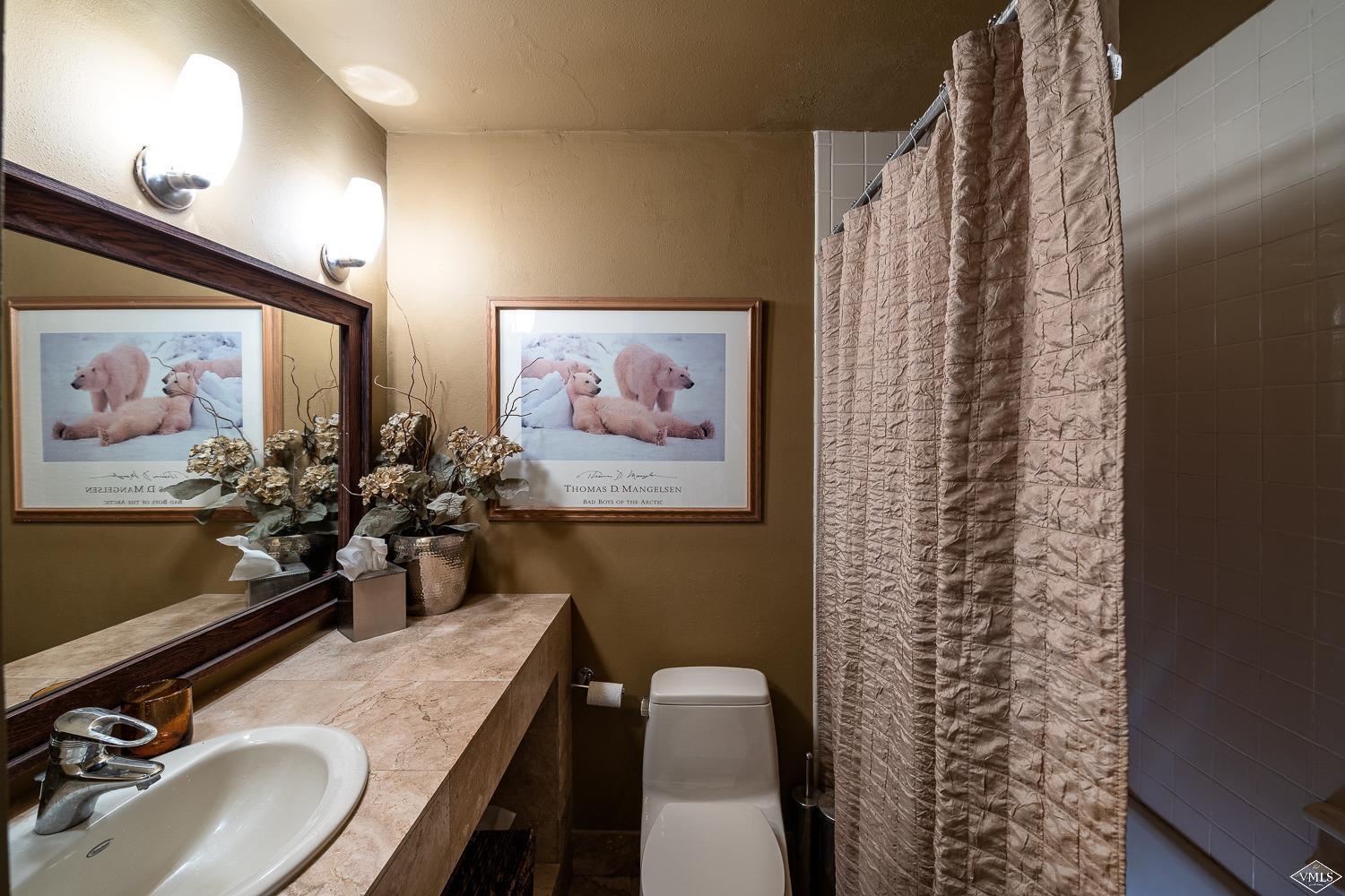 3245 Katsos Ranch Road, Unit W Vail, CO 81657 - Photo 23 of 25 Additional Photo