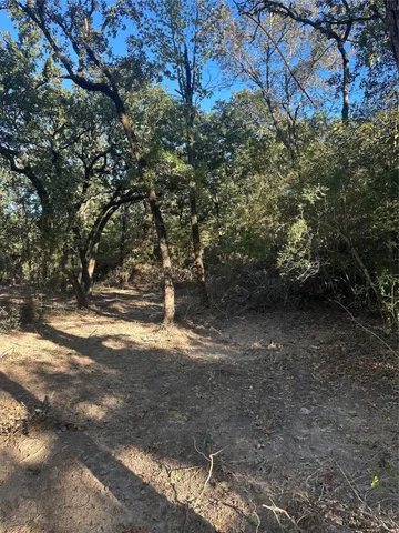 a view of dirt yard with a large tree