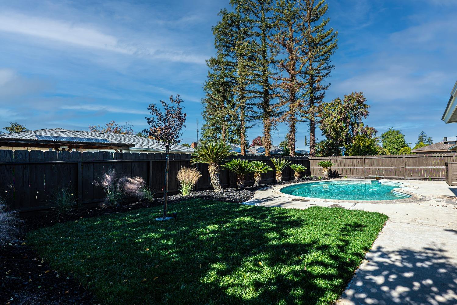 6587 North First Street Fresno, CA 93710 - Photo 40 of 51 a view of a backyard with plants and a garden