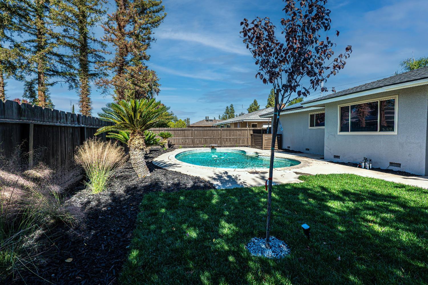 6587 North First Street Fresno, CA 93710 - Photo 42 of 51 a backyard of a house with lots of green space