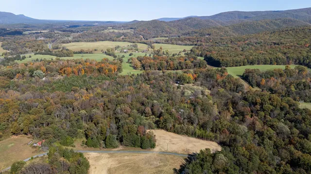 a view of a forest with mountains in the background