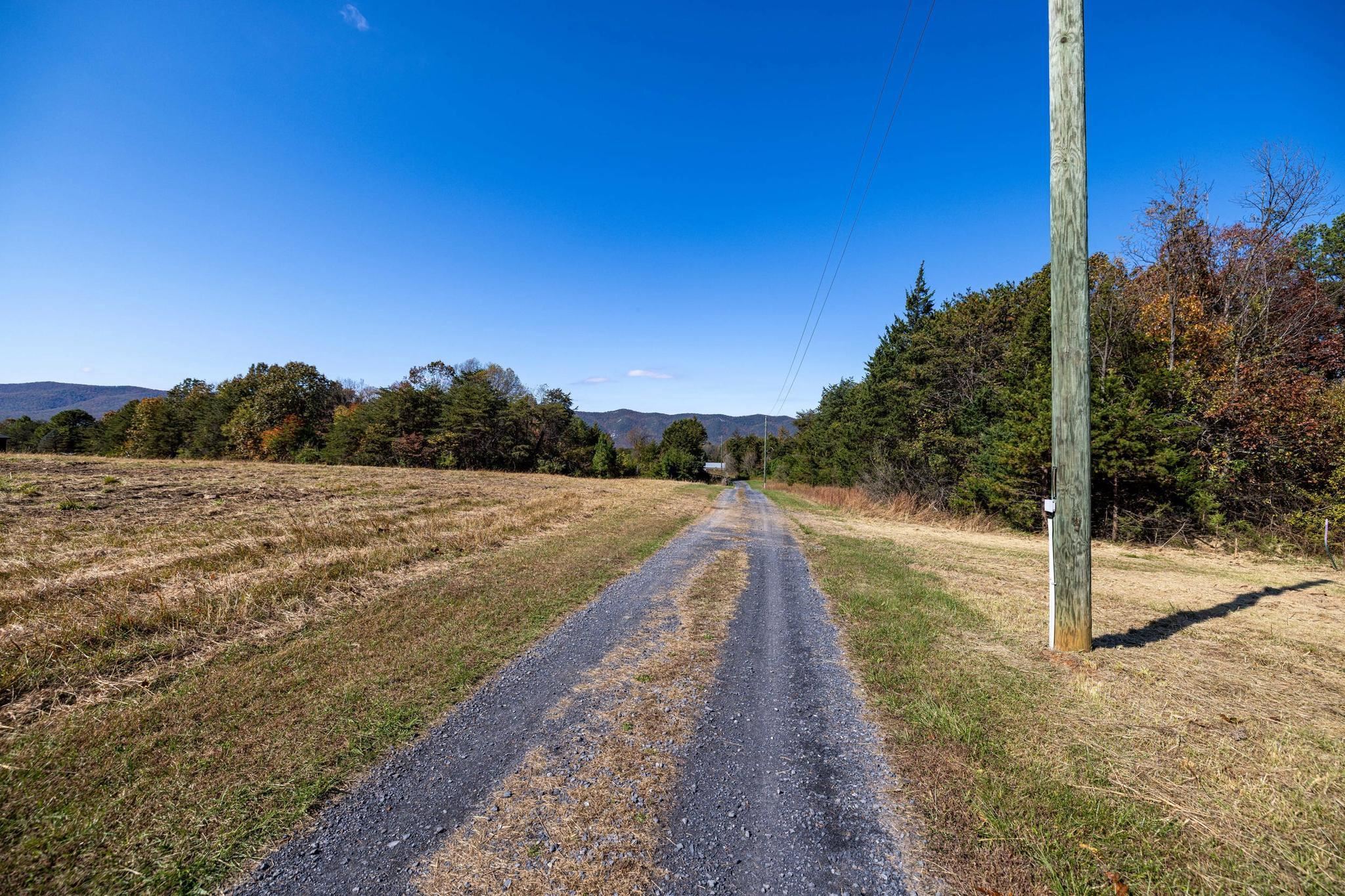 1-2 Young Road Rileyville, VA 22650 - Photo 3 of 16 a view of a yard