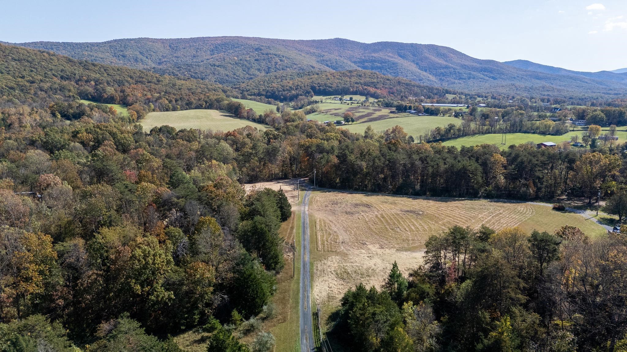1-2 Young Road Rileyville, VA 22650 - Photo 6 of 16 a view of a lush green hillside and houses
