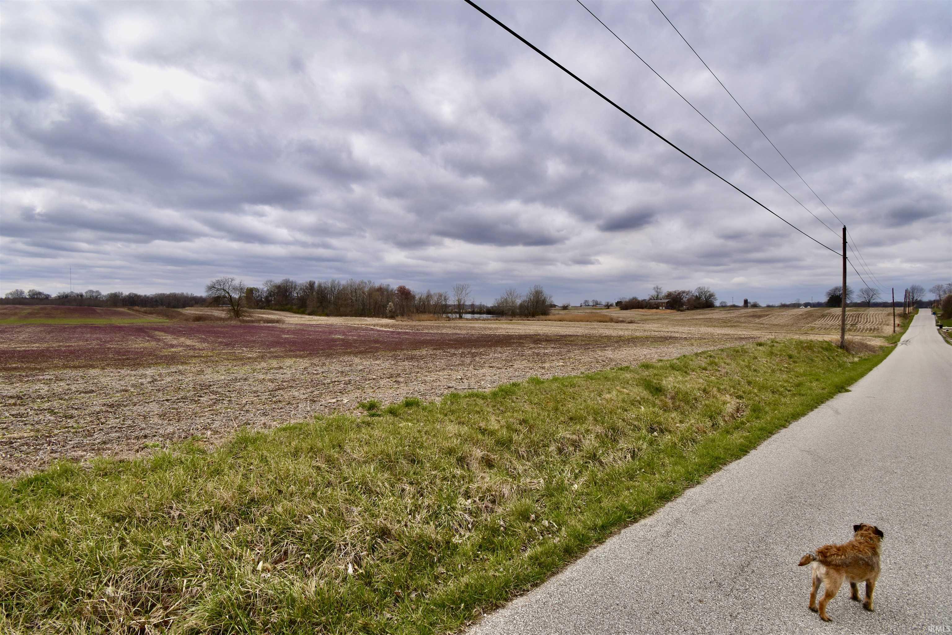Edwards Road Chandler, IN 47610 - Photo 1 of 16 Gallery Image 1