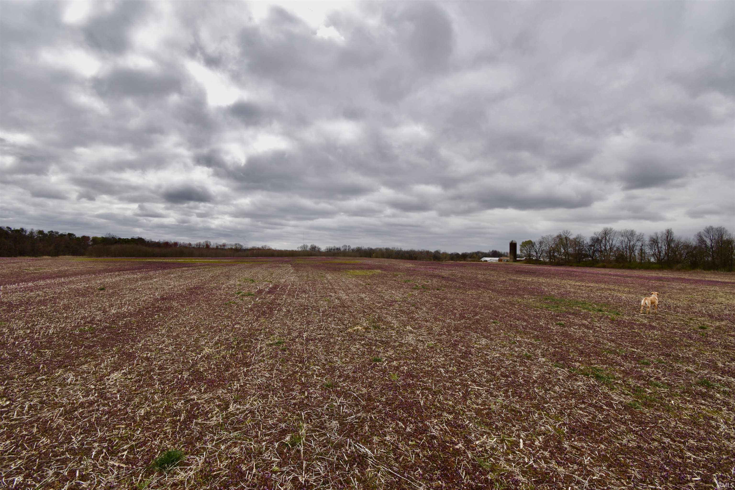 Edwards Road Chandler, IN 47610 - Photo 13 of 16 Gallery Image 13