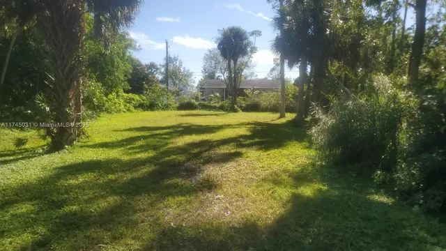 a view of yard with green space and trees