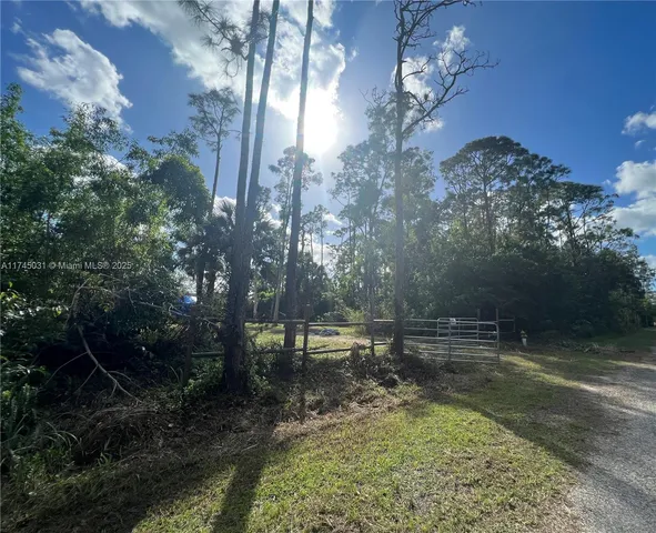 a backyard of a house with lots of green space