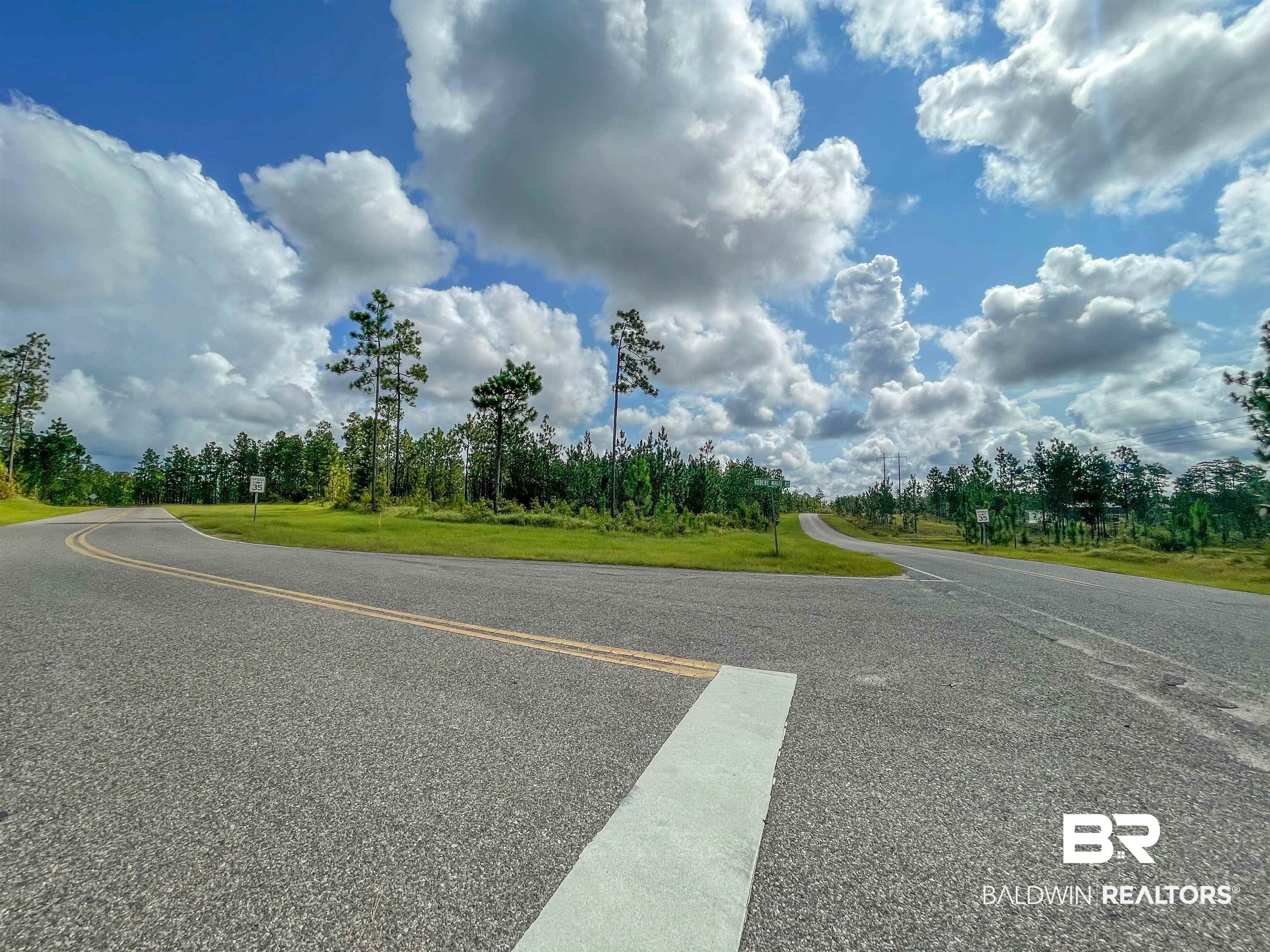 0 Robert White Road Perdido, AL 36562 - Photo 3 of 6