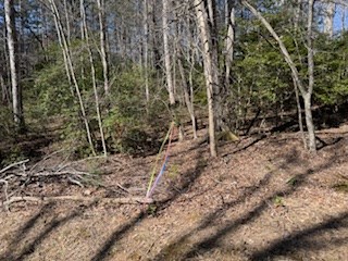 Lot 3 Laurel Ridge Road Blairsville, GA 30512 - Photo 8 of 8 Gallery Image 8