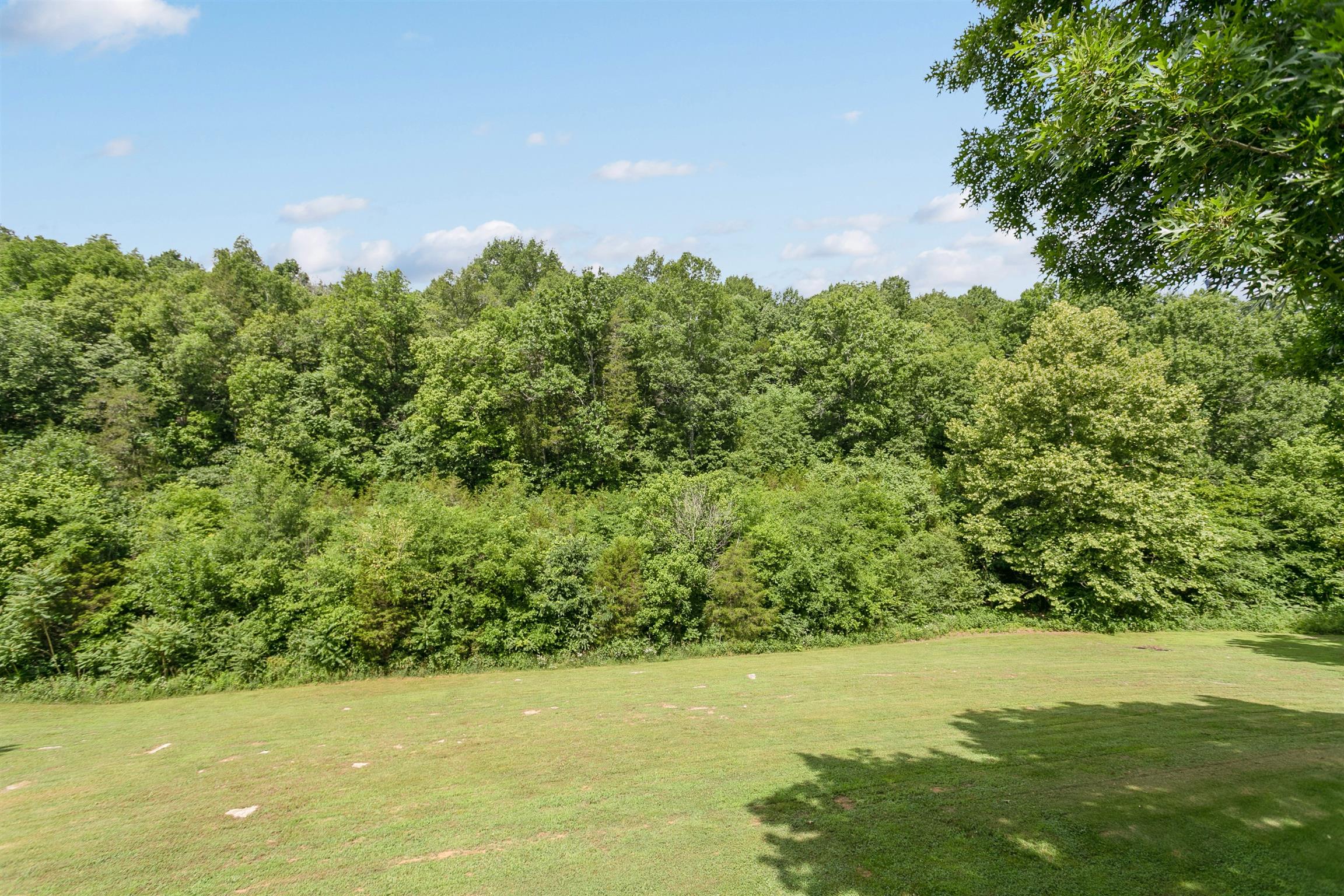 1534 Iron Bridge Road Columbia, TN 38401 - Photo 13 of 30 a view of yard with ocean view