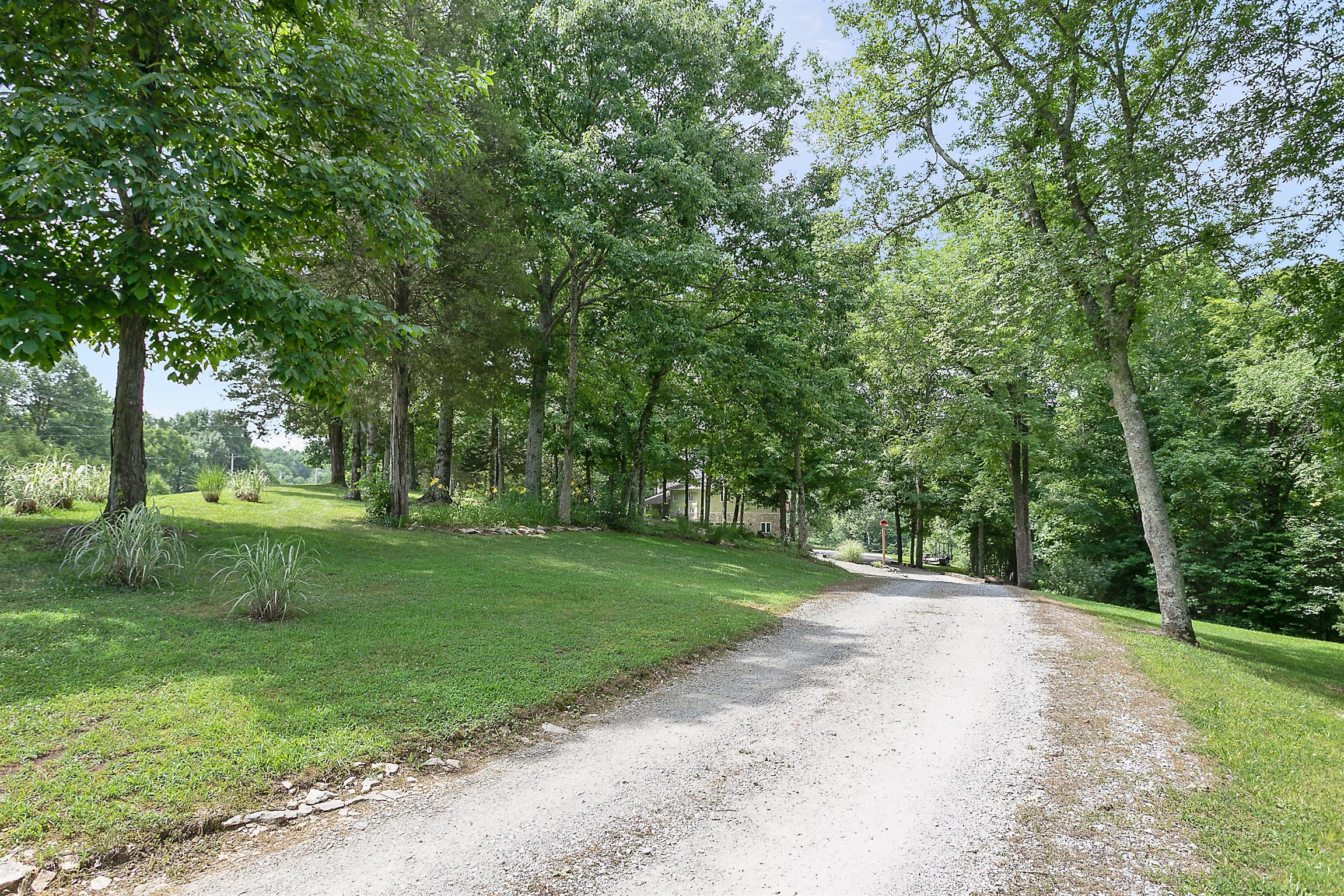 1534 Iron Bridge Road Columbia, TN 38401 - Photo 28 of 30 a view of a park with large trees