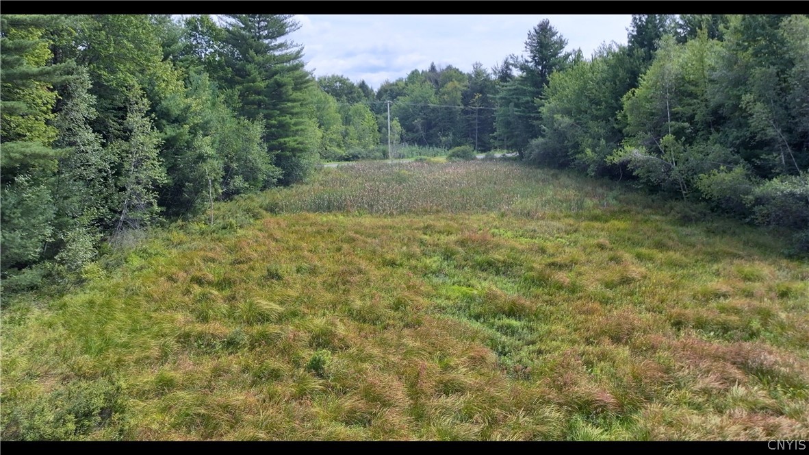 10133 Penfield Road Camden, NY 13316 - Photo 3 of 10 Gallery Image 3